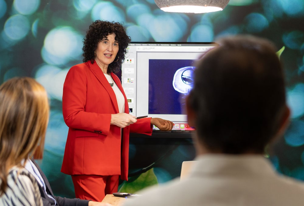 Diseño páginas web Bilbao